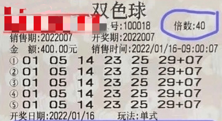 澳门码今期开奖结果，揭秘幸运之门的奥秘新澳门今晚开奖结果 开奖