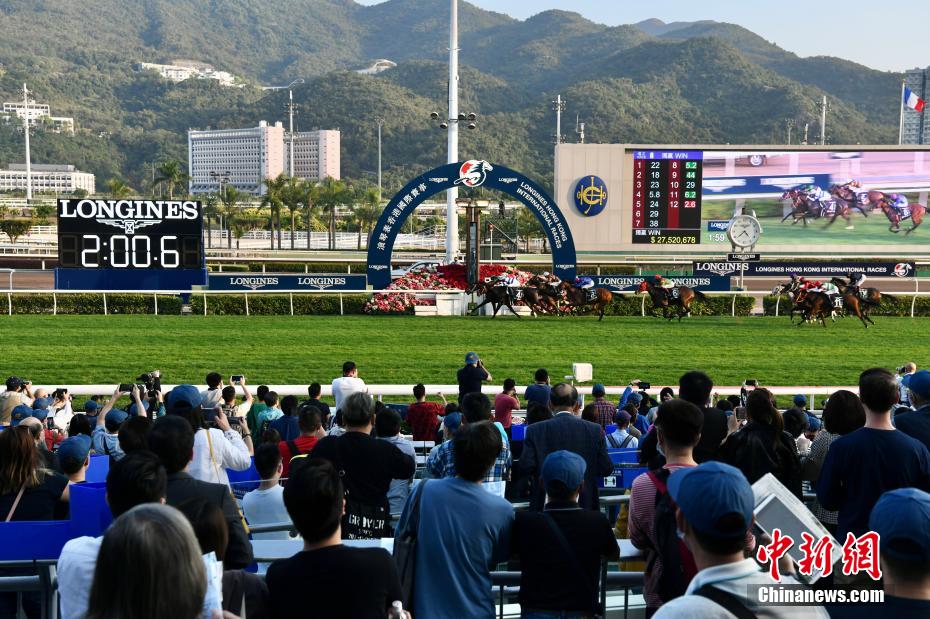 探秘香港赛马会，从排位表看赛事的精彩与文化香港赛马会排位表资料表赛