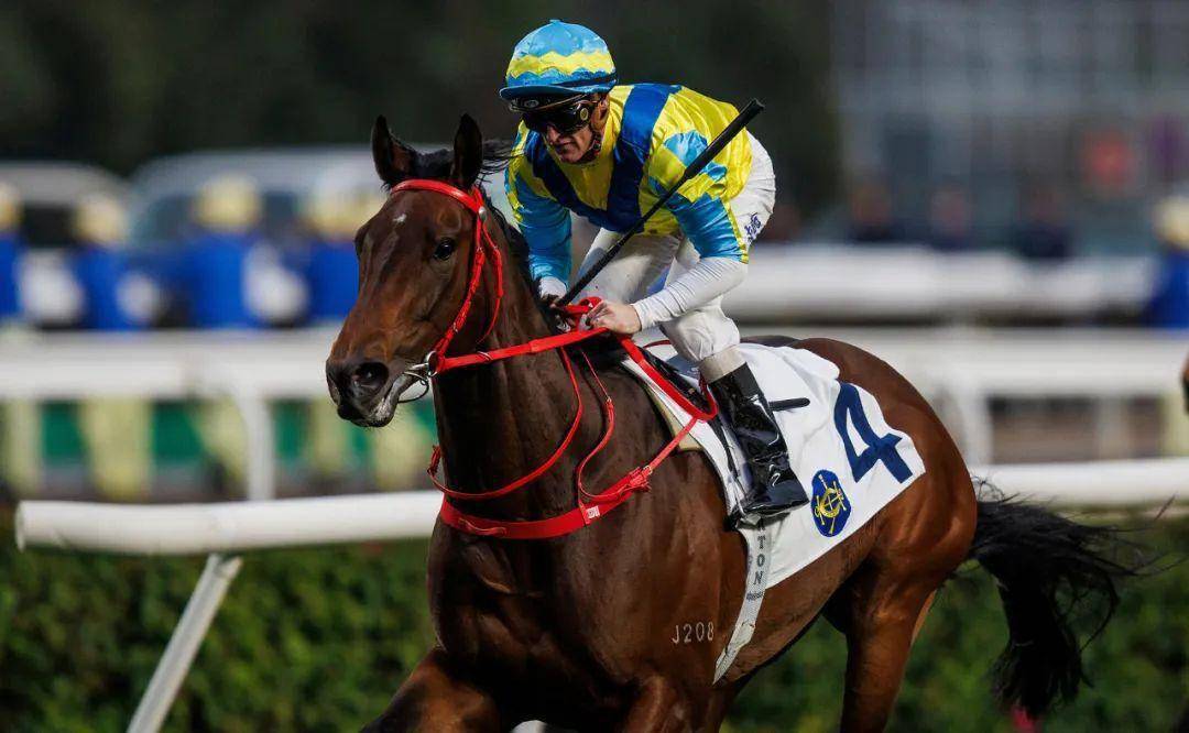 2018年香港马全年资料回顾，赛场风云与精彩瞬间2019年香港马最准的资料