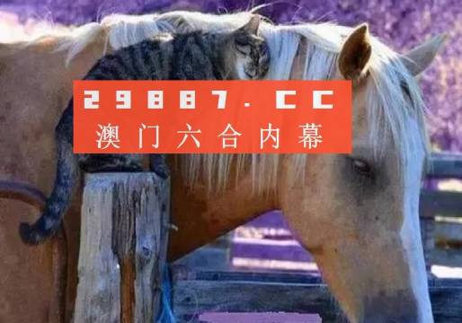 澳门彩49，探索最新开奖记录的奥秘新澳门彩4949最新开奖记录新奥澳门不倒靠养老