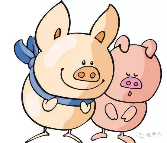 今日香港港六开奖结果揭秘，探寻幸运号码的奥秘香港港六开奖结果今天开什么号4911