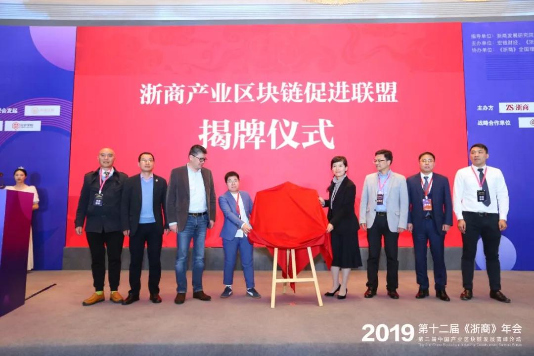 探索六合天下心水论坛，网络社区的智慧与交流6合天下彩