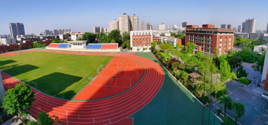 2036，未来教育资源的全面开放与共享—正版资料全年免费公开的深远影响2023正版资料全年免费公开三一