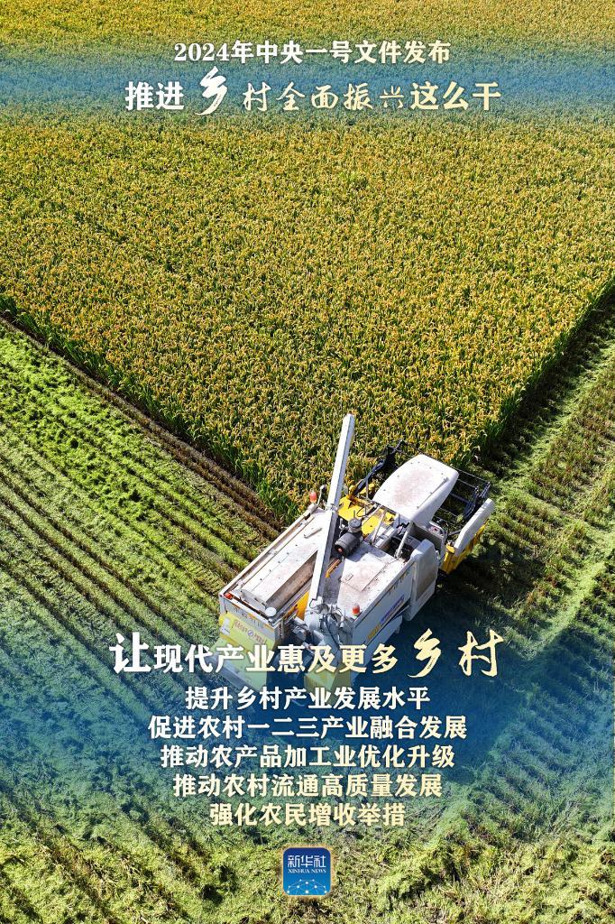 广西12530，数字时代的乡村振兴新引擎广西125车神现在怎样了