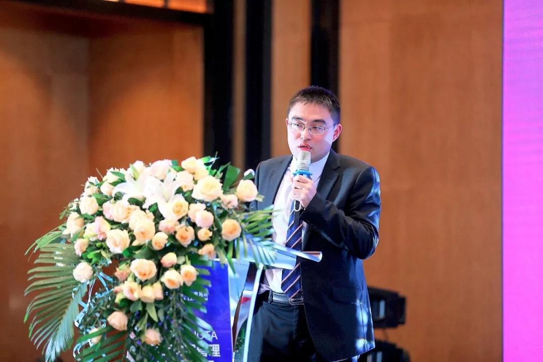 泰和论坛，智慧碰撞的璀璨舞台泰和论坛网