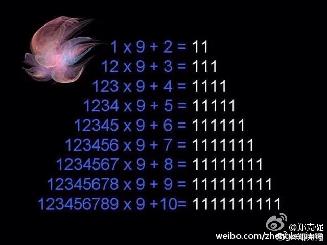 管家婆一码与白蛇图坛，神秘而深邃的数字世界