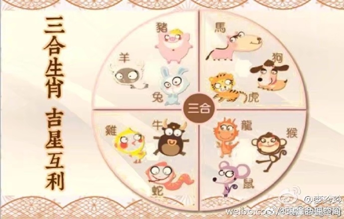 678王中王的免费护栏，安全与道德的边界660678王中王免费提供护栏十二生肖