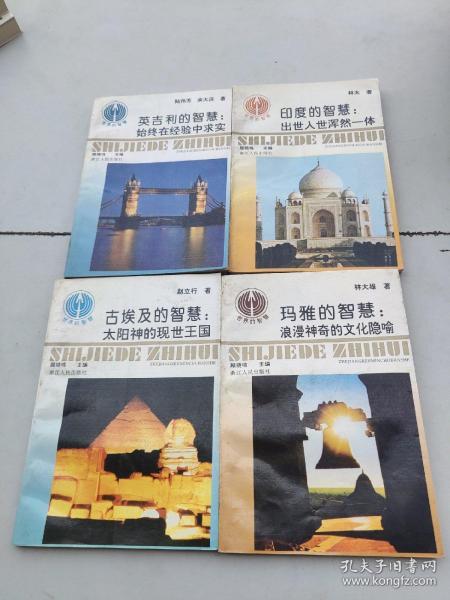 玛雅论坛网，探索古代文明与现代智慧的交汇点玛雅论坛网址找不到怎么办