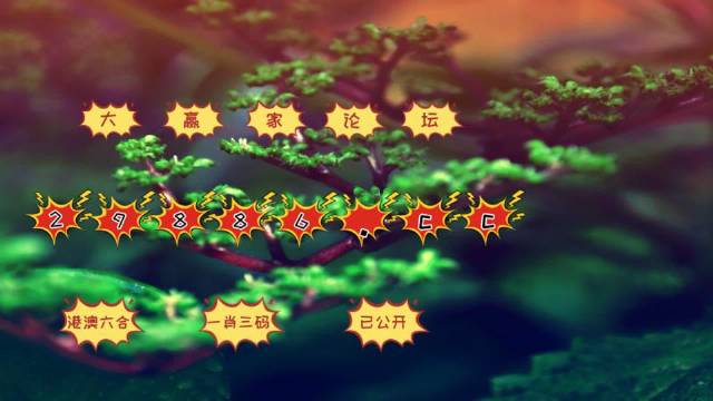 澳门跑狗3769，揭秘背后的数字与文化澳门跑狗376969w