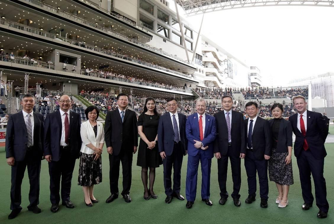 2019香港马会资料大全，免费资源与精彩赛事概览香港2021年马会资料大全