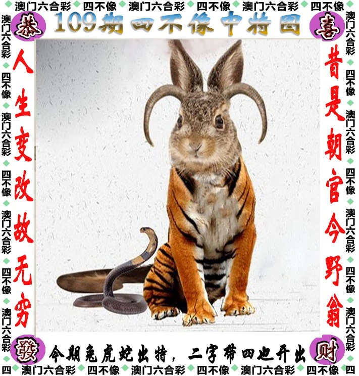 探索正版与一肖中特的奥秘，从四不像到正途四不像正版一肖图