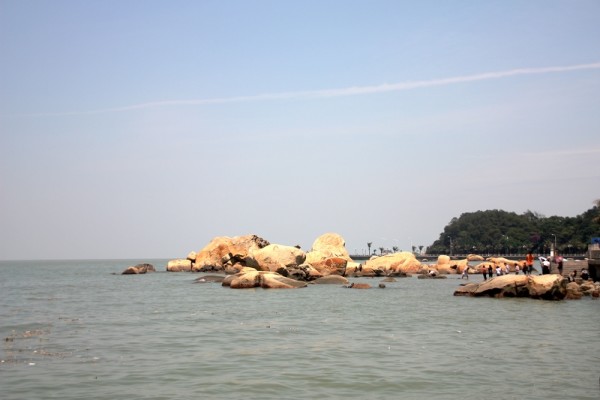 澳门旅游全攻略，最精准免费资料大全与精选旅行团推荐澳门最精准免费资料大全旅游团49个号