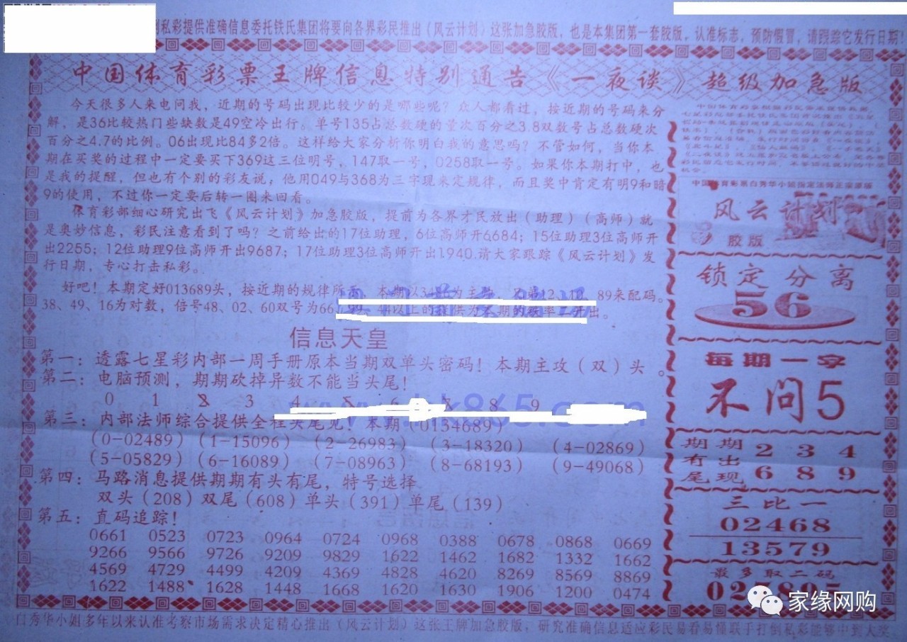蓝姐平码论坛，数字世界的理性与智慧之光蓝姐平码内部