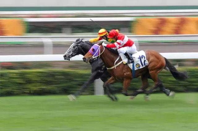 现场直击，香港开马会—一场精彩绝伦的即时盛宴香港开马开奖现场直播小说