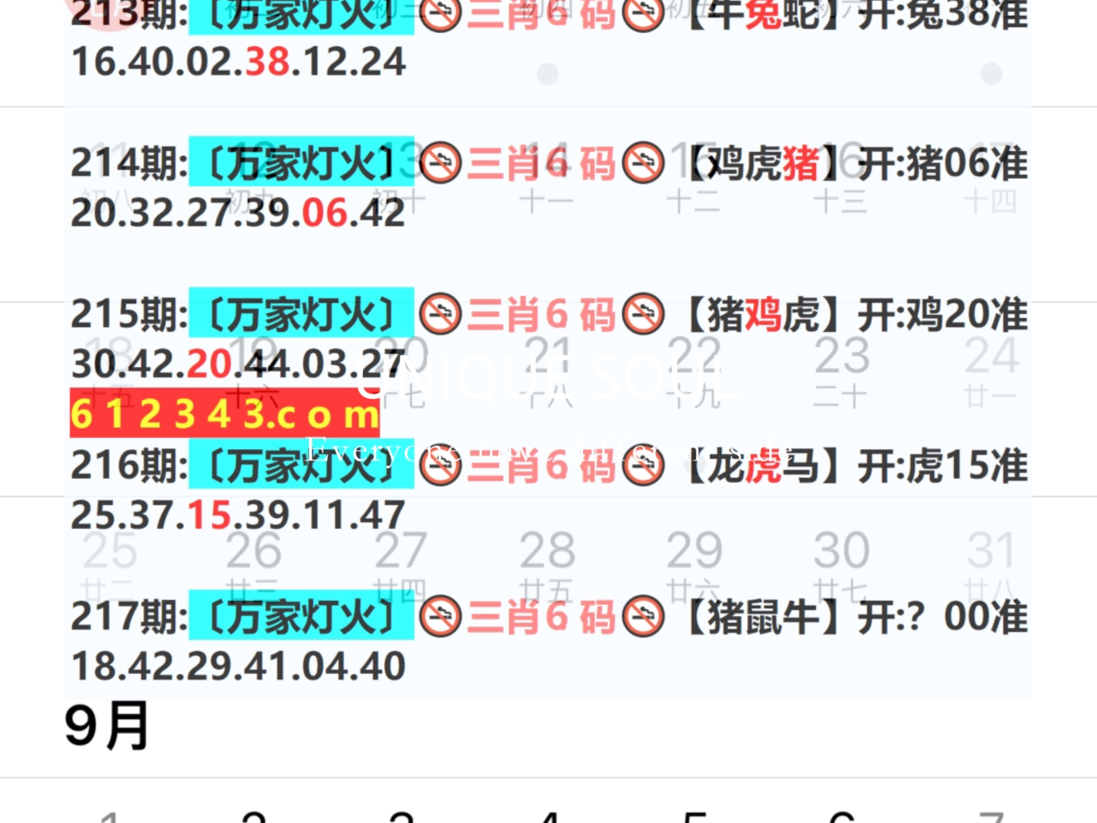 蓝月亮四肖八码精选资料，揭秘数字背后的奥秘与智慧蓝月亮四肖八码精选资料的特点和平台特色介绍
