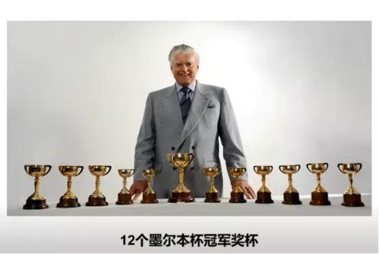 蓝月亮马会精选资料大全，解锁赛马的激情与智慧蓝月亮马会精选资料大全期准优势