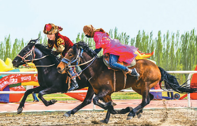 探索香港赛马文化，全面解析香江之舞—香港賽馬會精選資料大全香港赛马会精选资料大全使用方法