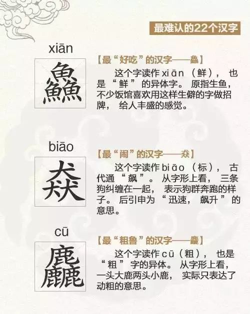 探索二四六天天好彩每期文字资料大全的奥秘