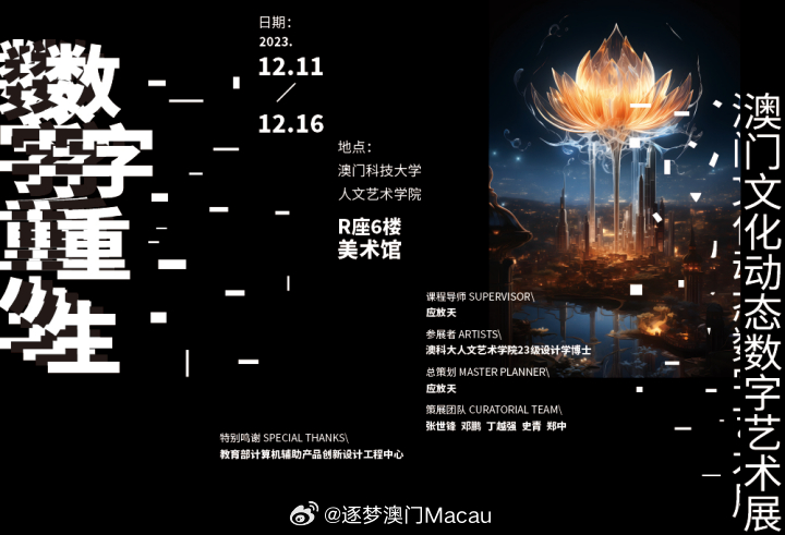 澳门一码，探寻数字背后的文化与智慧一肖一码中持一一肖一