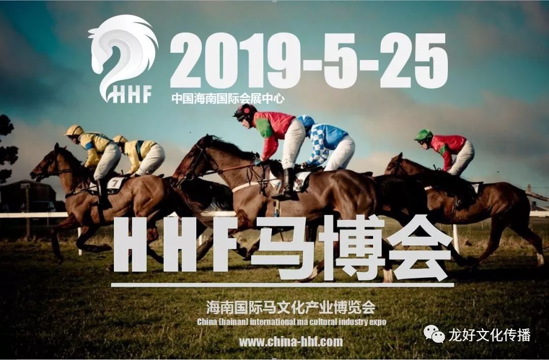 探索香港2019特马开奖的背后，文化、经济与社会的交织香港特马开奖记录2021