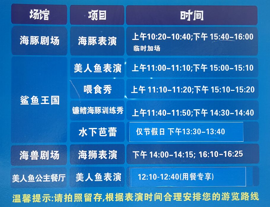 澳门彩今日开奖揭秘，探索数字背后的奥秘与乐趣新澳门彩今天开什么查询野兽