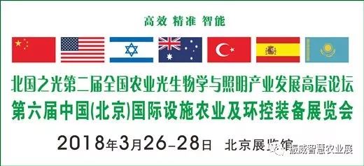 探索128kj.com，一个新兴的在线学习与知识分享平台