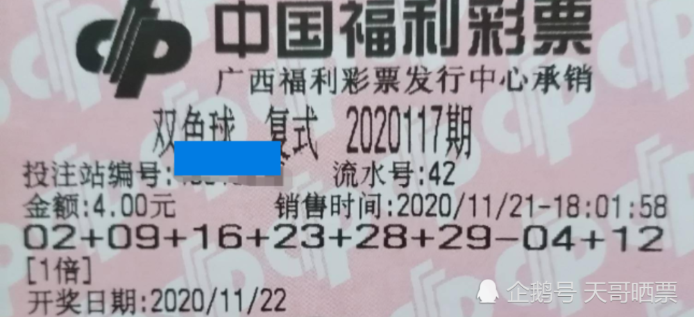 今日特马，揭秘生活中的惊喜与奇迹今日什么特马+开奖结果