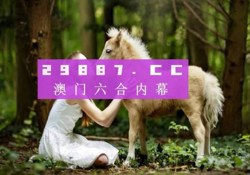 澳门六开奖，204年回顾与未来展望6开彩开奖结果查询澳门