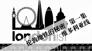 探索香港与澳门的独特魅力，全面资料大全及T字头号码的奥秘香港免费公开资料最准最新版