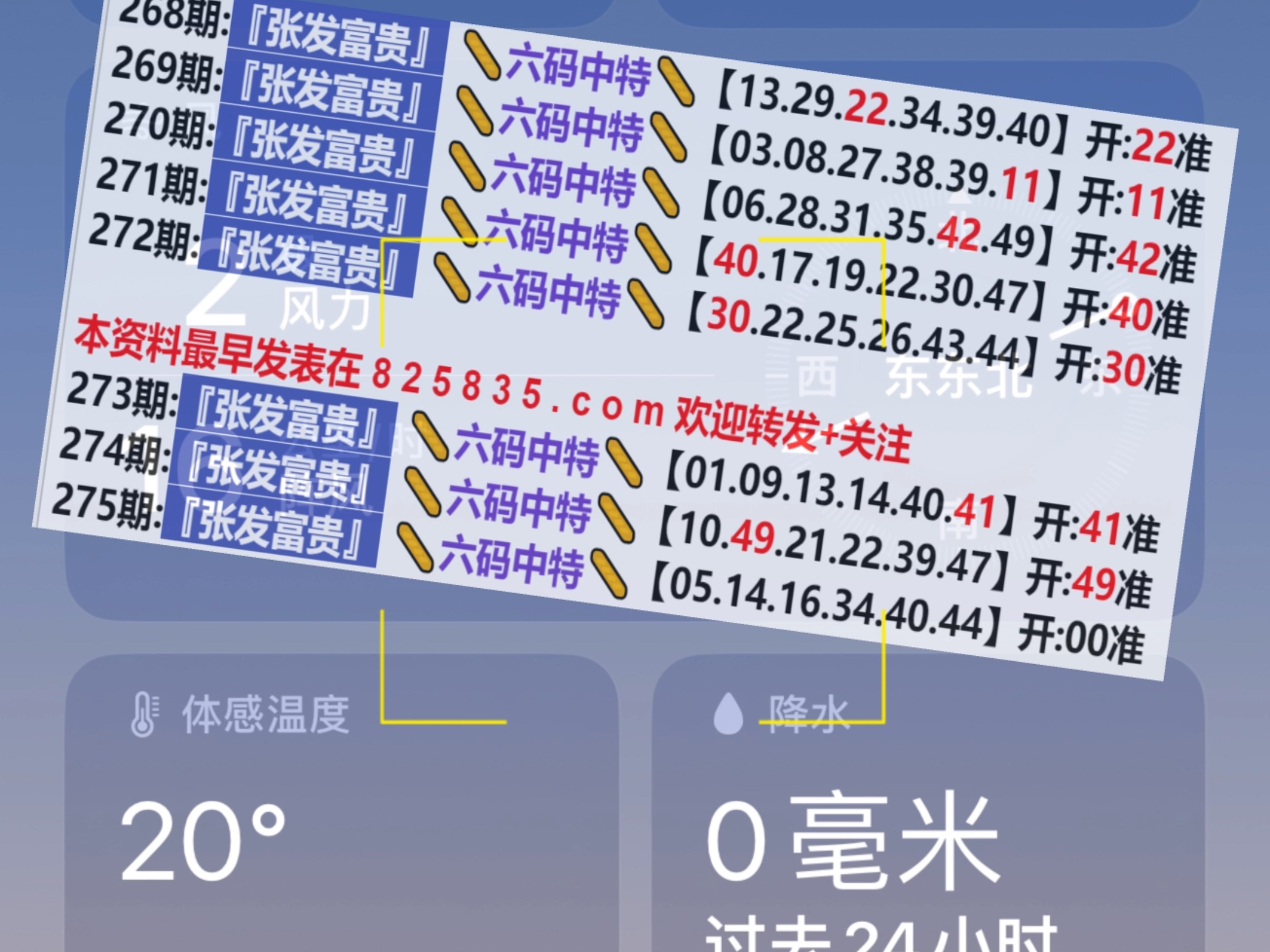 2025年5月31日 第11页